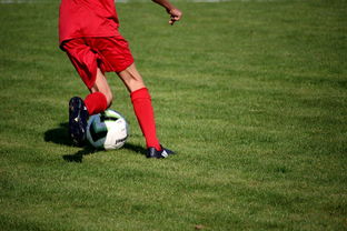 KAIYUNAPP-篮球运动员心理韧性培养体系建设,篮球运动员心理韧性培养体系建设方案