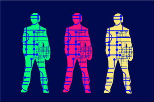 kaiyun登录入口-高校体育专业人才培养质量保障体系，体育人才培养方案心得体会