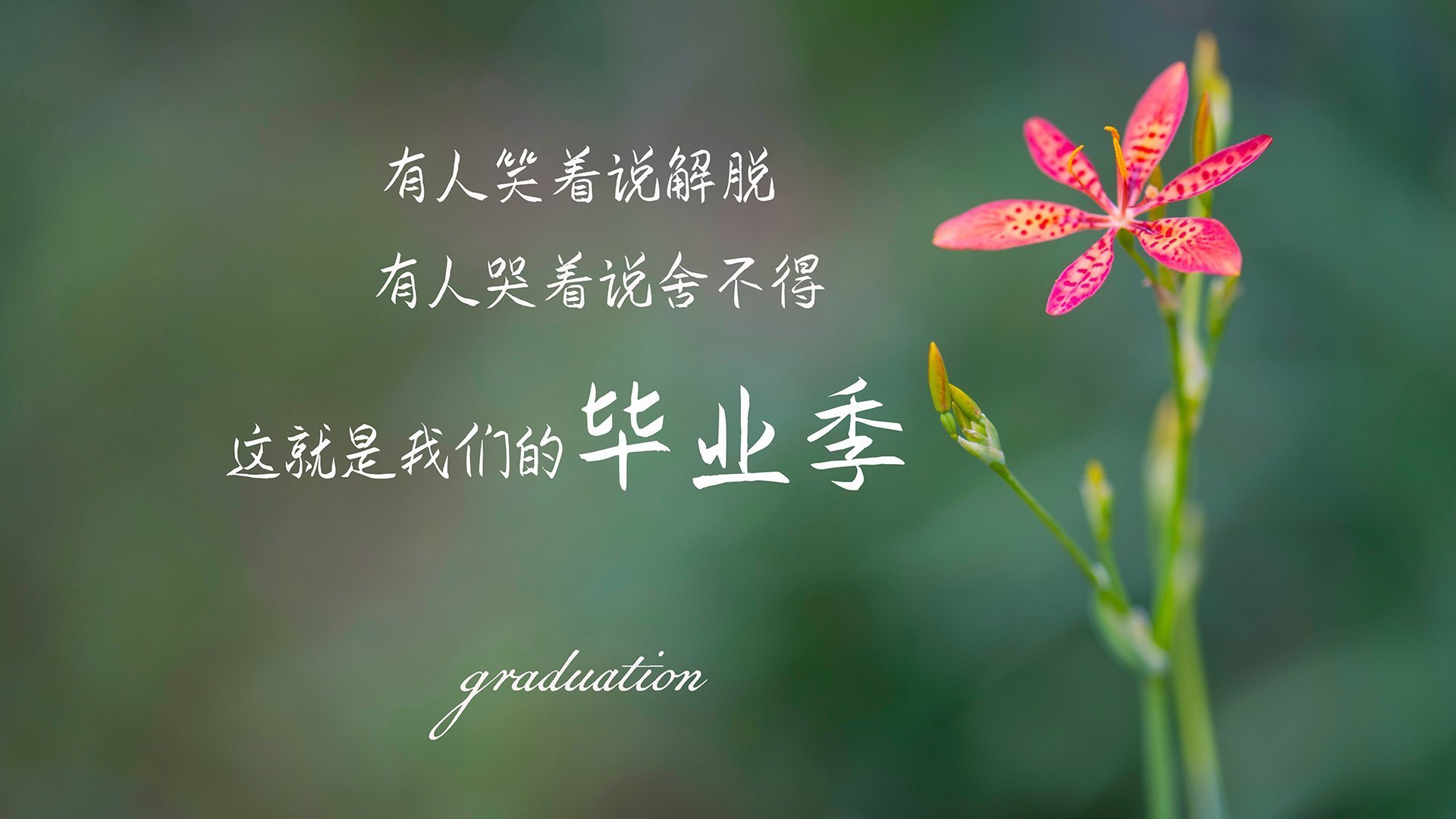 kaiyun中国官方网站-中国女篮多点开花,中国女篮什么