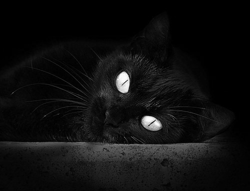 开云网页版-国际乒联混合团体世界杯：新加坡队在团体赛中的精彩亮点，t2联赛2019新加坡乒乓球比赛视频