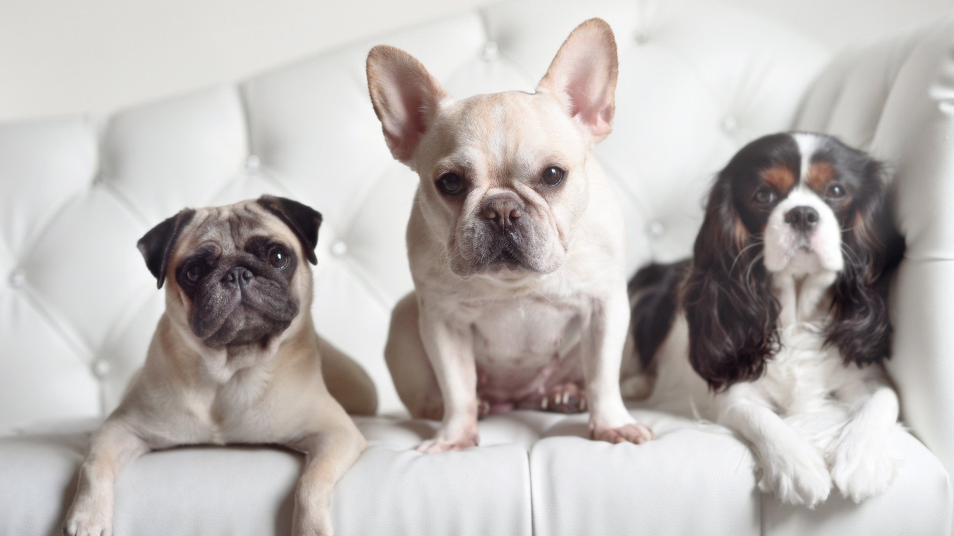 开云网页版-国际乒联混合团体世界杯:新加坡队在团体赛中的精彩亮点,t2联赛2019新加坡乒乓球比赛视频