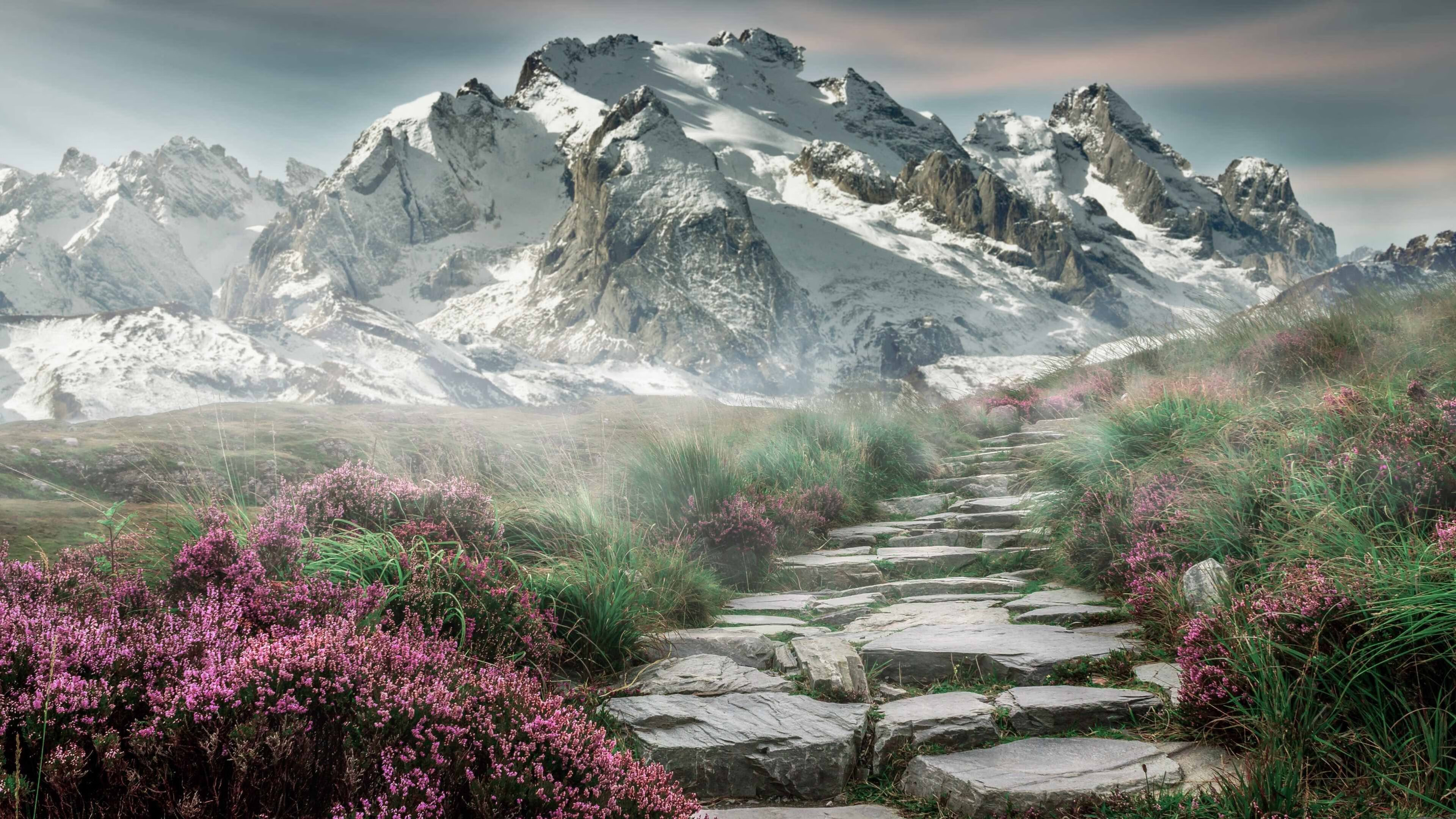 开云中国大陆-埃及队未来发展:技术与体能并重,力争大赛突破,埃及队怎么样