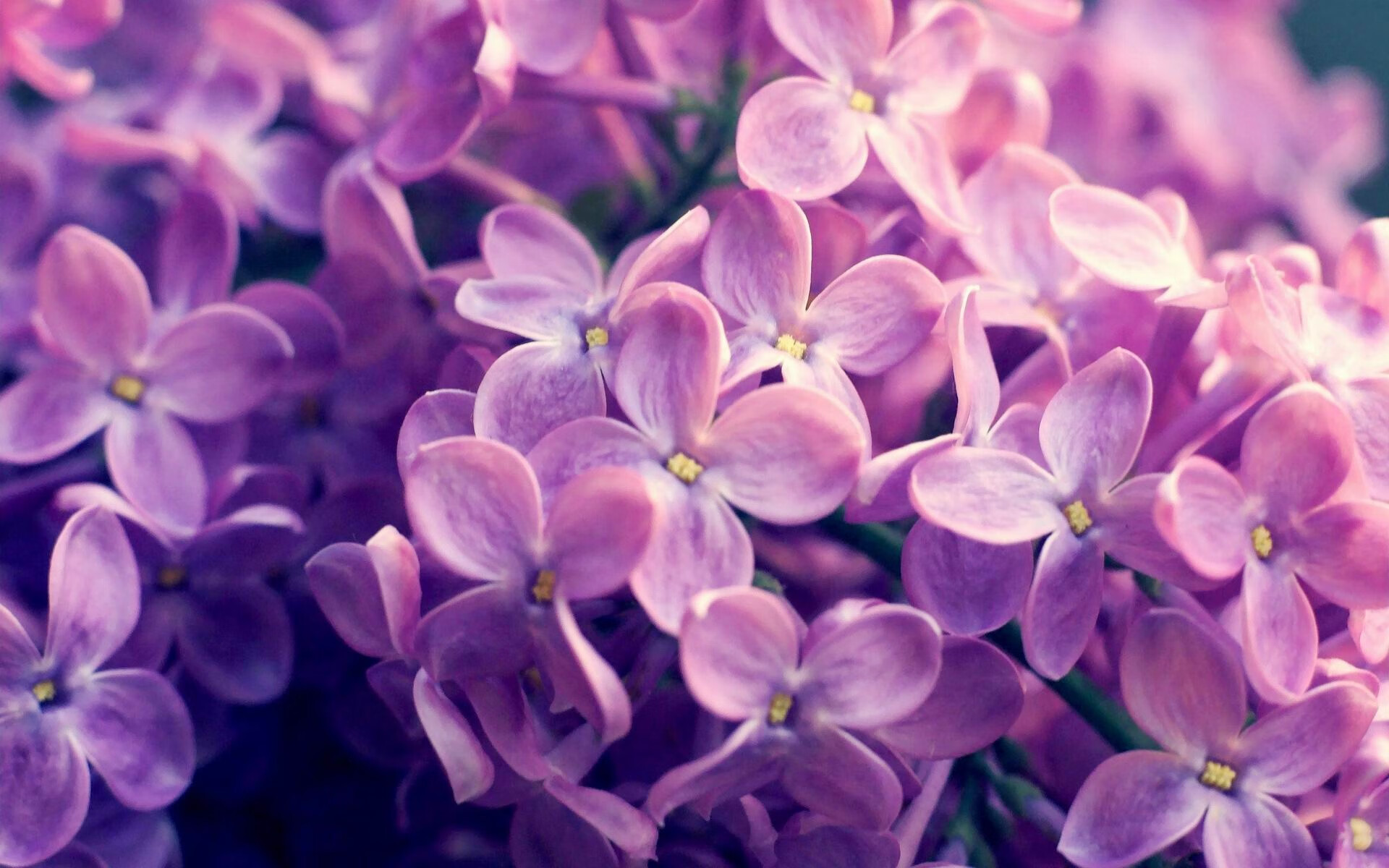 KAIYUN 中国大陆-外援引入没有针对性岗位设计，外援引入没有针对性岗位设计怎么办