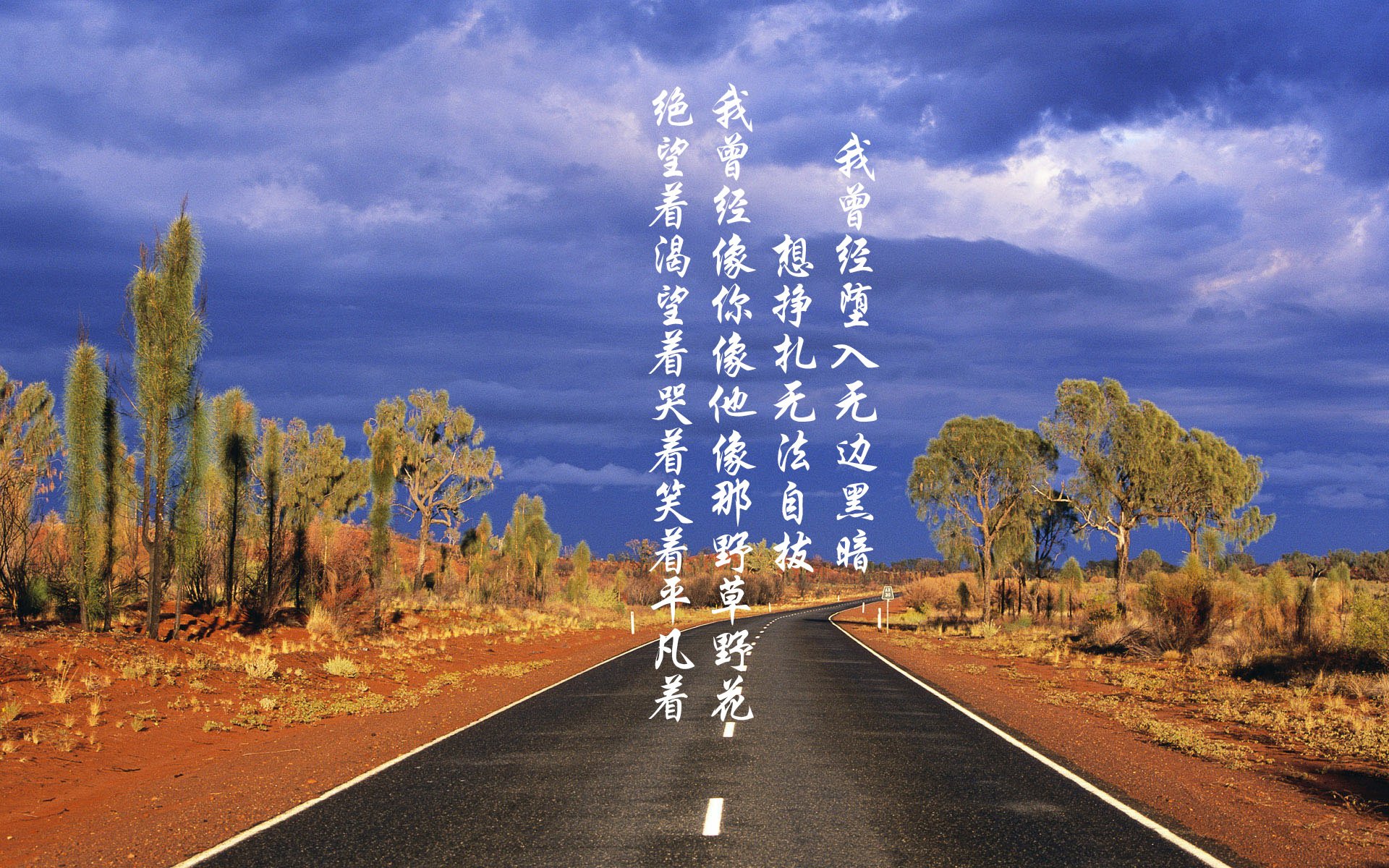 开云官方-张雨霏蝶泳段强势追回劣势,蝶泳冠军张雨霏是哪里人