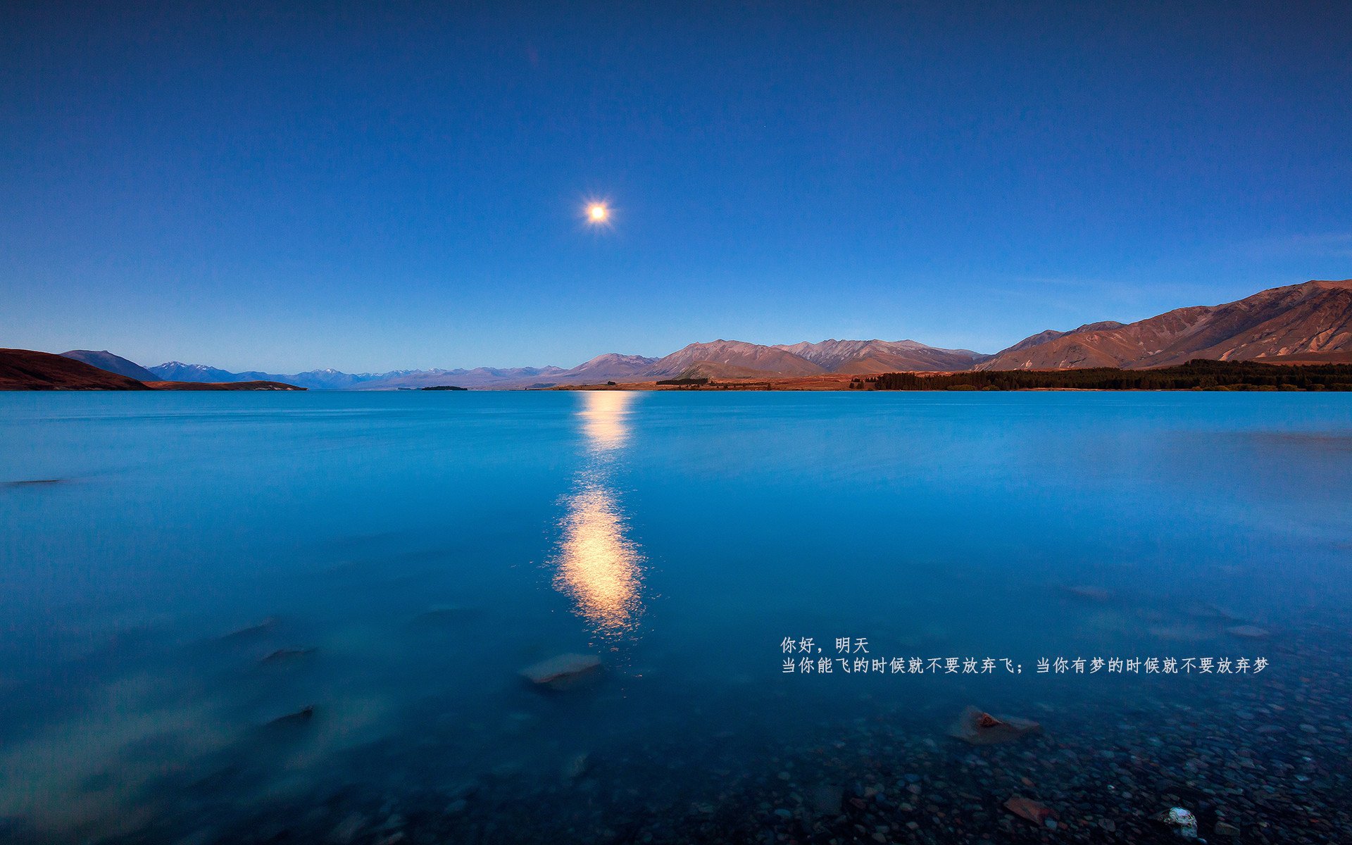 开云中国大陆-高位逼抢激活前场多点突破，高位进攻