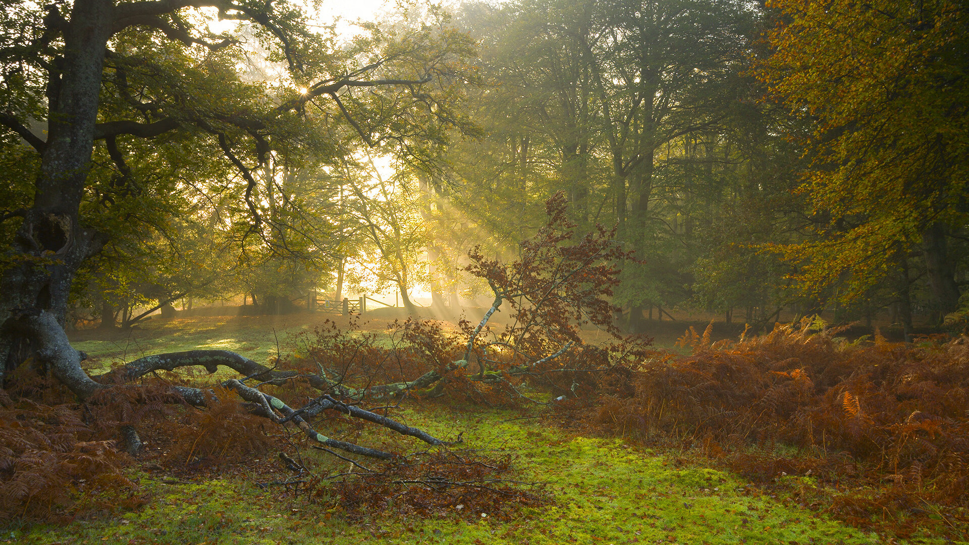 kaiyun体育综合-CBA联赛增加家庭主题日活动拉近球迷关系,cba球队怎么创建