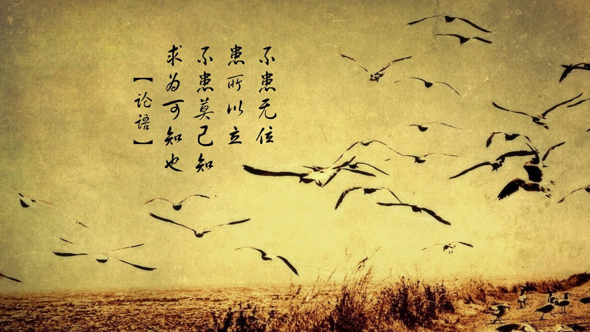 kaiyun官方入口登录-卡斯帕·科尔博突破极限刷新赛会纪录,卡尔·斯帕兹