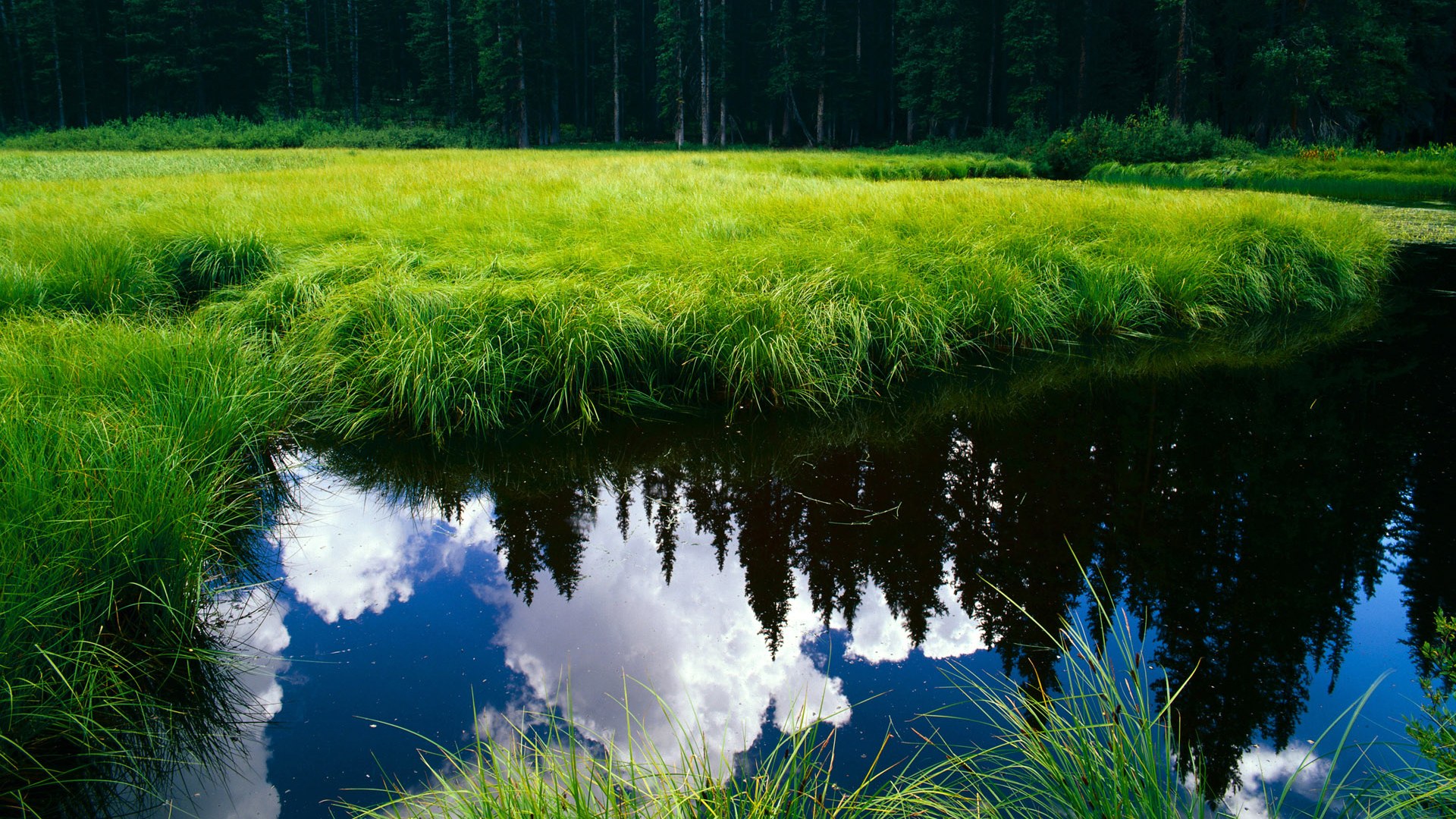 开云体育APP下载-外界高度关注本周焦点战媒体预测比分观点出现两极分化