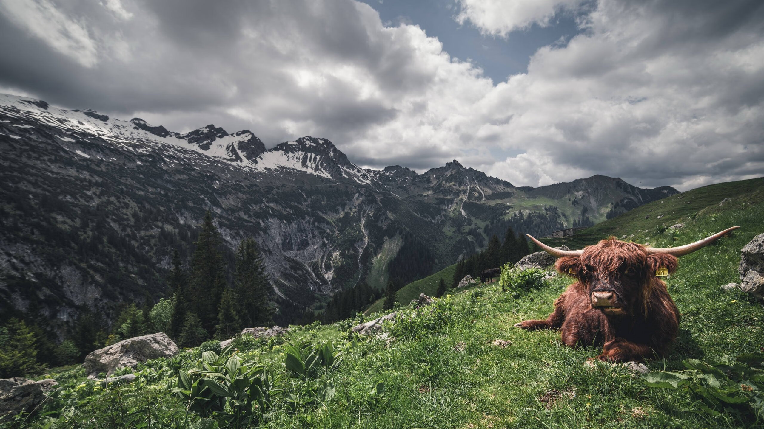 kaiyun登录入口-媒体盘点赛季进步最快球员我队新星入选榜单榜首,本赛季最快进步球员