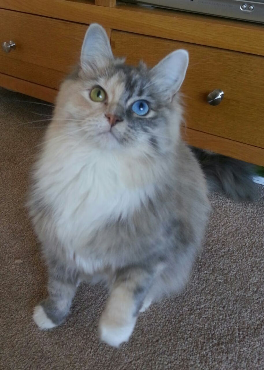 kaiyun登录入口-媒体盘点赛季进步最快球员我队新星入选榜单榜首,本赛季最快进步球员