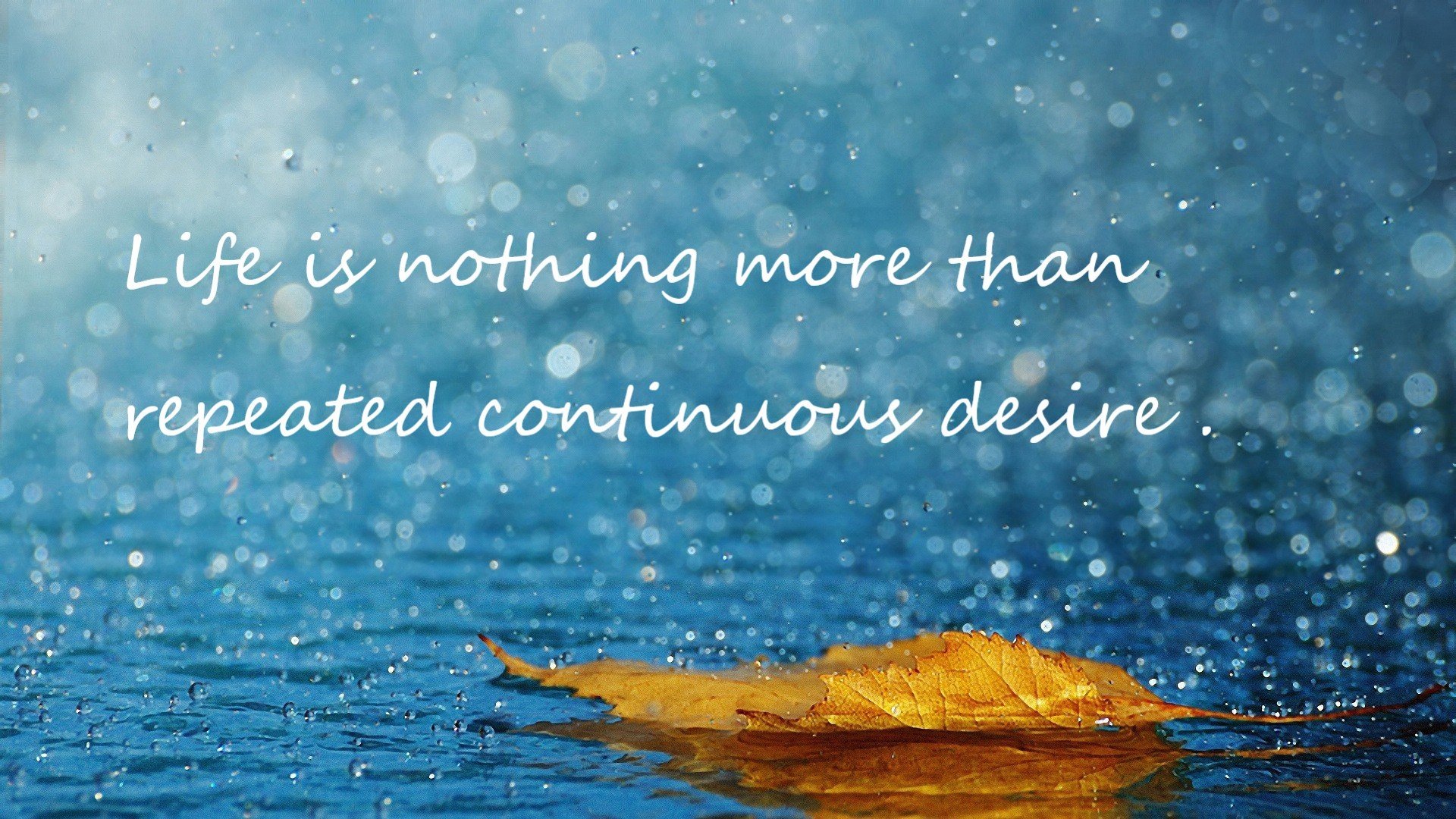 开云官方-巴西青训体系持续升级,涌现众多足球新秀