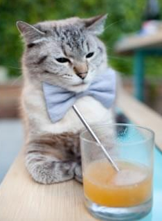 kaiyun官方入口登录-爵士后卫完成压哨绝杀点燃主场氛围,爵士队控球后卫