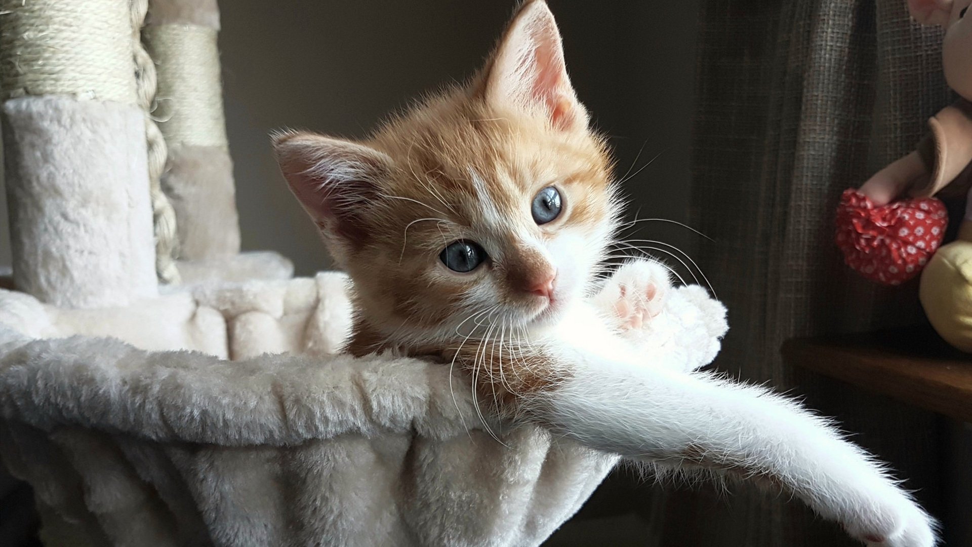 开云入口-西甲攻防大战:精彩瞬间频频上演!,西甲防守强度