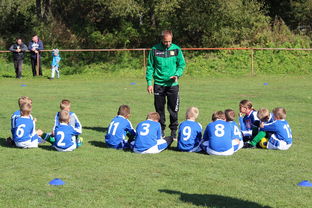 kaiyun官方入口登录-中国足球国家队临阵换帅后的战术适应期研究，国足选帅